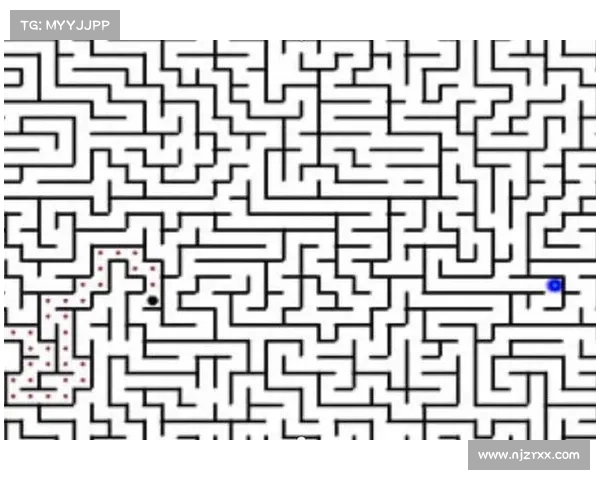 迷宫探险者之队:破解连锁,解开谜底 迷宫探险者之队:破解连锁,解开谜底